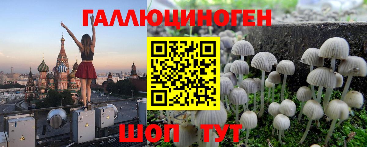 Псилоцибиновые грибы Magic Shrooms  Псилоцибиновые грибы GOLDEN TEACHER  Вход с VPN  наркота  Мариинск 